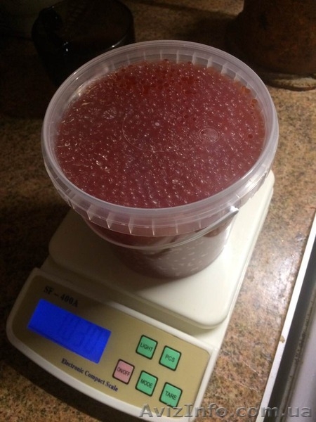 Красная икра формируем дилерскую сеть - <ro>Изображение</ro><ru>Изображение</ru> #3, <ru>Объявление</ru> #1521534