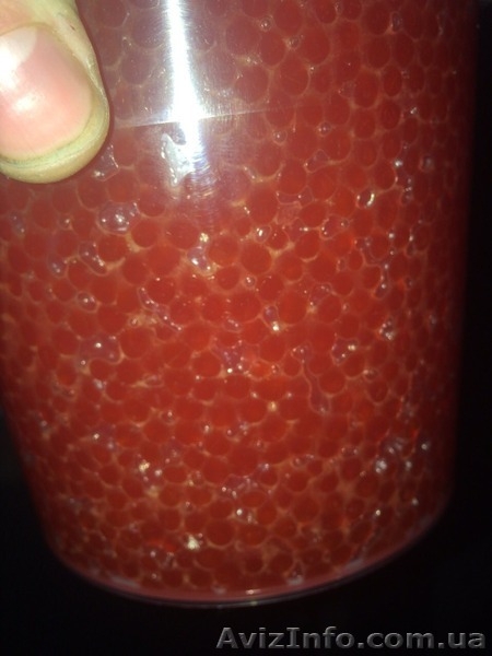 Красная икра формируем дилерскую сеть - <ro>Изображение</ro><ru>Изображение</ru> #5, <ru>Объявление</ru> #1521534