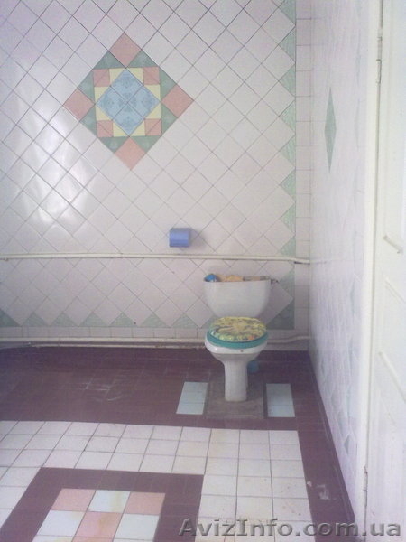 Срочно продам дом за городом Кринички Днепр недорого - <ro>Изображение</ro><ru>Изображение</ru> #6, <ru>Объявление</ru> #1537531