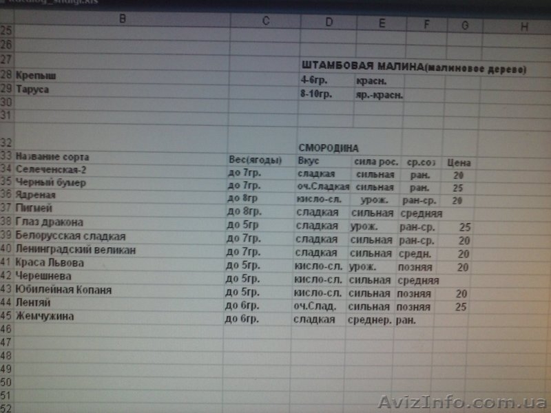 Продаем саженцы винограда - <ro>Изображение</ro><ru>Изображение</ru> #3, <ru>Объявление</ru> #1531341