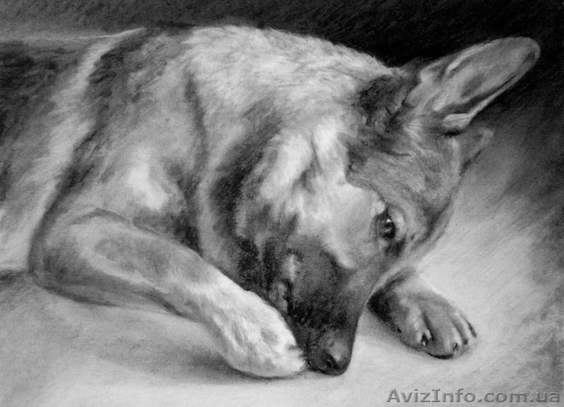 ПОРТРЕТ НА ЗАКАЗ. Живопись и графика. - <ro>Изображение</ro><ru>Изображение</ru> #4, <ru>Объявление</ru> #1491044