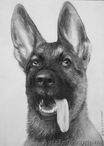 ПОРТРЕТ НА ЗАКАЗ. Живопись и графика. - <ro>Изображение</ro><ru>Изображение</ru> #7, <ru>Объявление</ru> #1491044