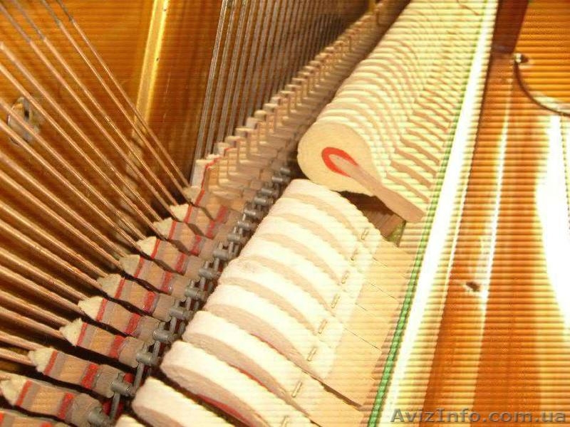 Пианино Carl A Pfeiffer Stuttgart - <ro>Изображение</ro><ru>Изображение</ru> #6, <ru>Объявление</ru> #1556413