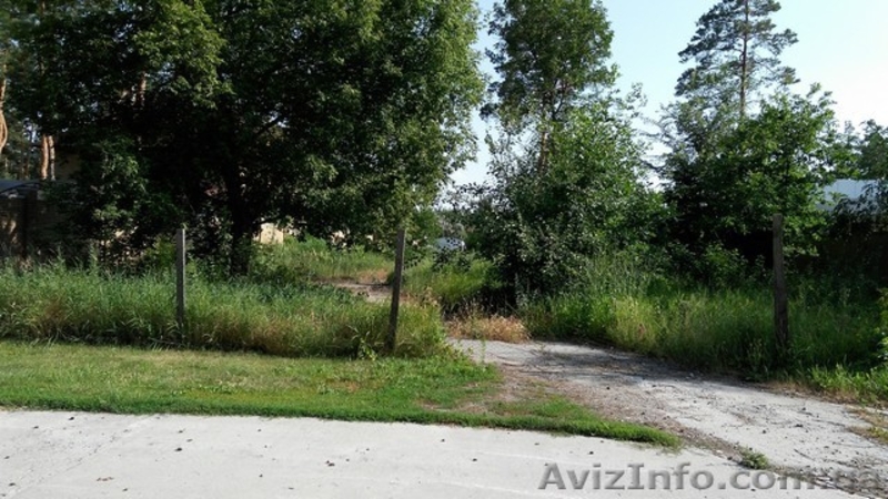 Земельный участок в сосновом лесу на берегу реки Самара. - <ro>Изображение</ro><ru>Изображение</ru> #3, <ru>Объявление</ru> #1570992