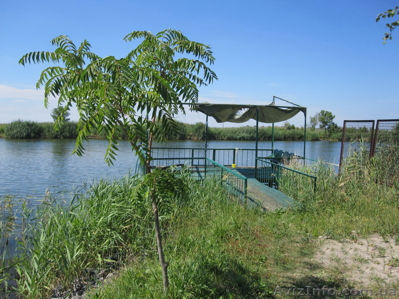 * Сдам в аренду  дом со своим берегом в Новоселовке - <ro>Изображение</ro><ru>Изображение</ru> #3, <ru>Объявление</ru> #1508457