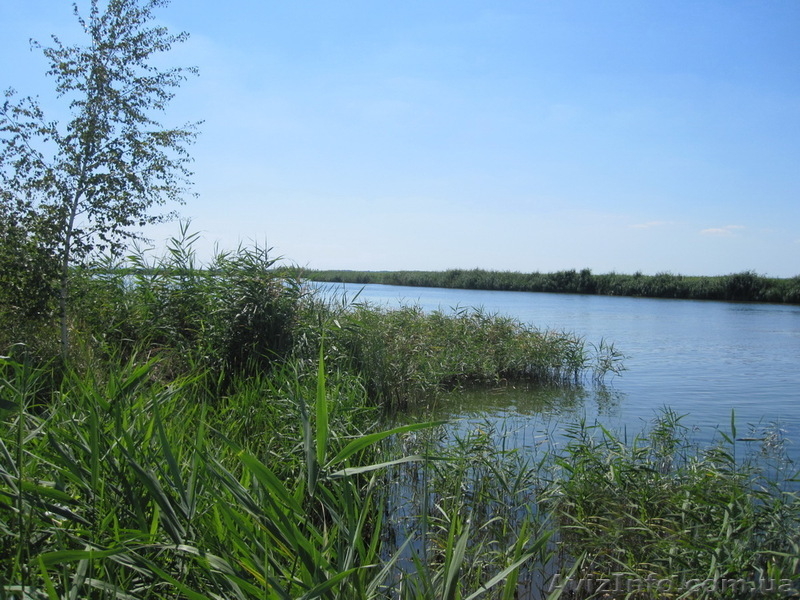 * Сдам в аренду  дом со своим берегом в Новоселовке - <ro>Изображение</ro><ru>Изображение</ru> #8, <ru>Объявление</ru> #1508457