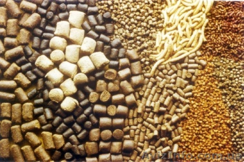 Комбикорм с амарантовым жмыхом для уток - <ro>Изображение</ro><ru>Изображение</ru> #3, <ru>Объявление</ru> #1596415