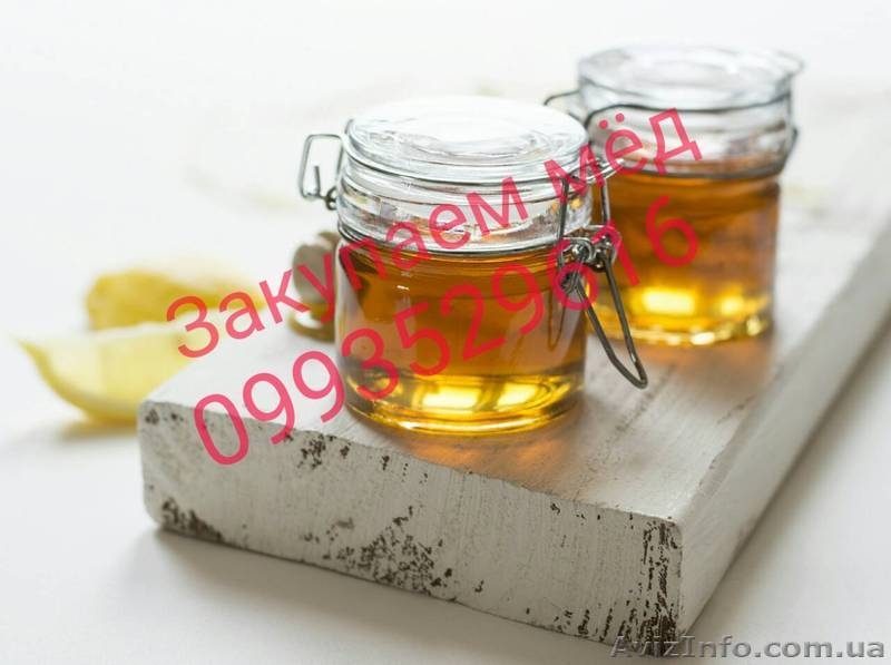 Закупаем мед - <ro>Изображение</ro><ru>Изображение</ru> #1, <ru>Объявление</ru> #1624586