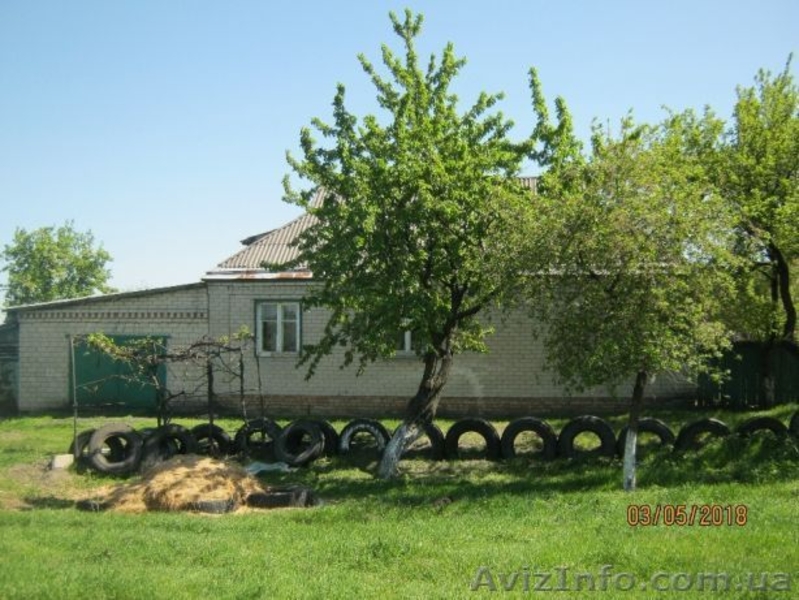 Продам дом в с.Богуслав - <ro>Изображение</ro><ru>Изображение</ru> #4, <ru>Объявление</ru> #1631853