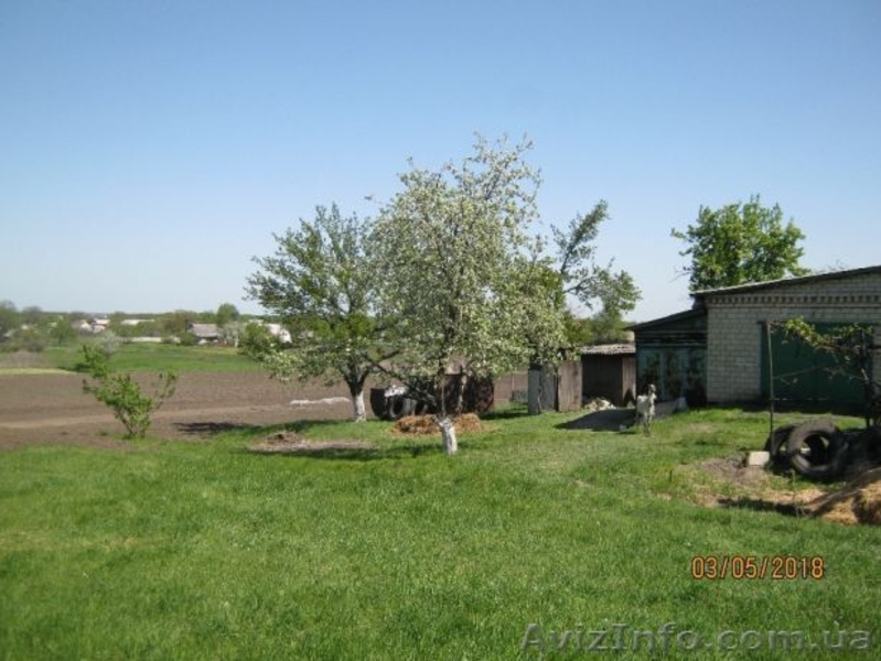 Продам дом в с.Богуслав - <ro>Изображение</ro><ru>Изображение</ru> #5, <ru>Объявление</ru> #1631853