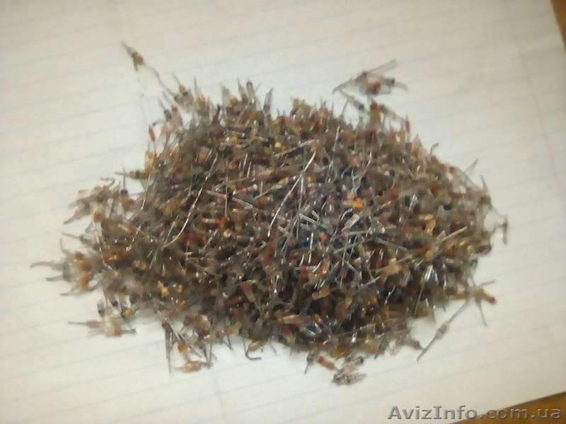 Радиодетали СССР - <ro>Изображение</ro><ru>Изображение</ru> #8, <ru>Объявление</ru> #1637289