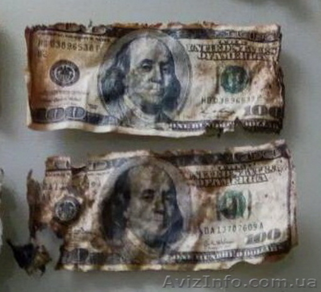 Обмен испорченных, горелых, прелых купюр долларов, евро и т.д. - <ro>Изображение</ro><ru>Изображение</ru> #4, <ru>Объявление</ru> #1642863