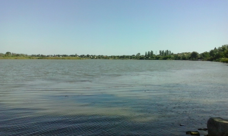 Продам дачный участок на берегу разлива  - <ro>Изображение</ro><ru>Изображение</ru> #4, <ru>Объявление</ru> #1647389