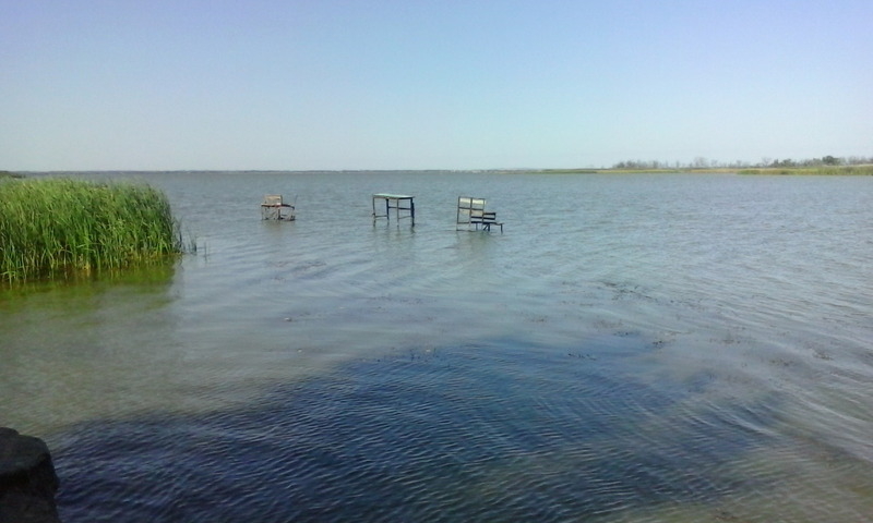 Продам дачный участок на берегу разлива  - <ro>Изображение</ro><ru>Изображение</ru> #3, <ru>Объявление</ru> #1647389