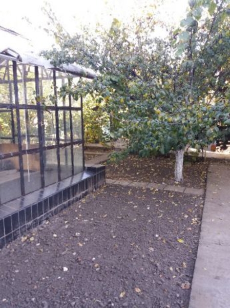 Продам Большой 385 кв.м Дом в элитном р-не Новоселовка У реки, свой берег - <ro>Изображение</ro><ru>Изображение</ru> #7, <ru>Объявление</ru> #1649103