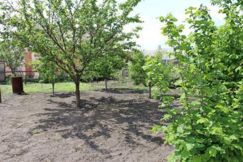 Продам добротный дом 105 м. кв в Березановке - <ro>Изображение</ro><ru>Изображение</ru> #4, <ru>Объявление</ru> #1677561