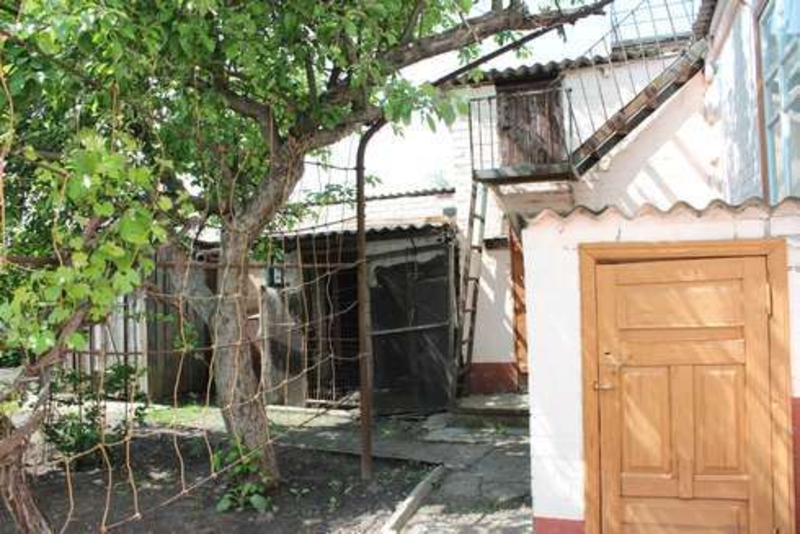 Продам добротный дом 105 м. кв в Березановке - <ro>Изображение</ro><ru>Изображение</ru> #6, <ru>Объявление</ru> #1677561