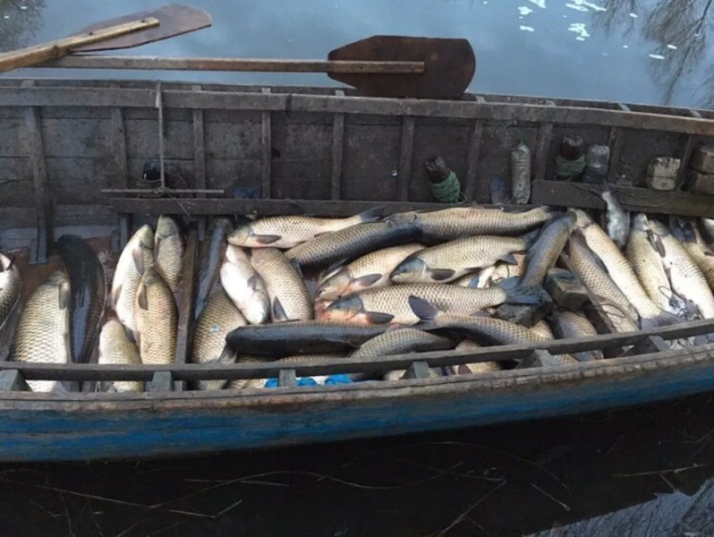 Предприятие реализует рыбу! Опт! - <ro>Изображение</ro><ru>Изображение</ru> #8, <ru>Объявление</ru> #1675230