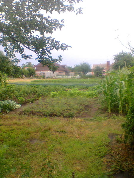  Продам дом в Краснополье - <ro>Изображение</ro><ru>Изображение</ru> #3, <ru>Объявление</ru> #1680451