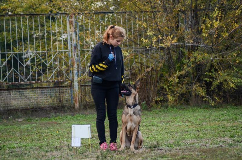 Дрессировка собак, Школа щенка. Кинолог г. Днепр. - <ro>Изображение</ro><ru>Изображение</ru> #3, <ru>Объявление</ru> #1699414