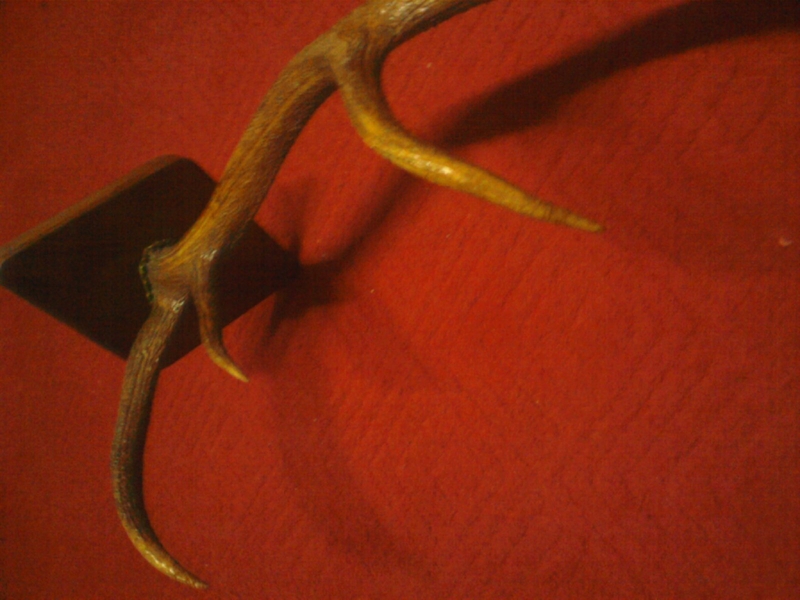 Продам рога оленя в хорошем состоянии.   - <ro>Изображение</ro><ru>Изображение</ru> #3, <ru>Объявление</ru> #1701188