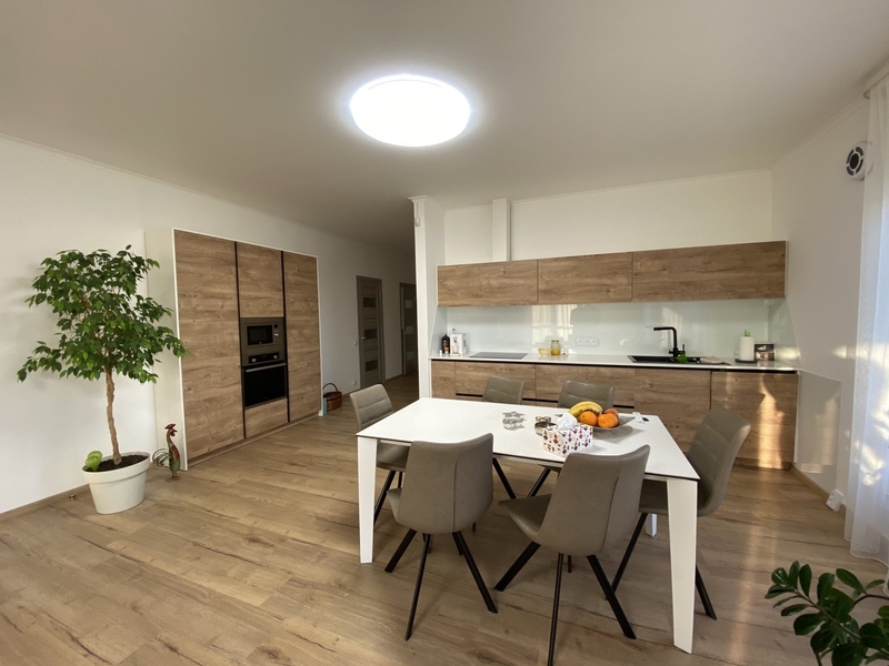 Продам новый дом с ремонтом, Подгородное - <ro>Изображение</ro><ru>Изображение</ru> #5, <ru>Объявление</ru> #1703113