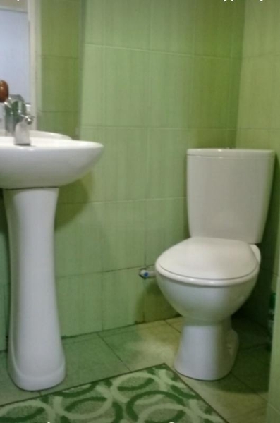 Сдам два домика, Гагарина, мангал - <ro>Изображение</ro><ru>Изображение</ru> #3, <ru>Объявление</ru> #1707667