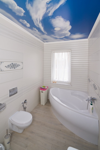 Продам 2-х этажный дом  с ремонтом, пр.Гагарина - <ro>Изображение</ro><ru>Изображение</ru> #8, <ru>Объявление</ru> #1707263