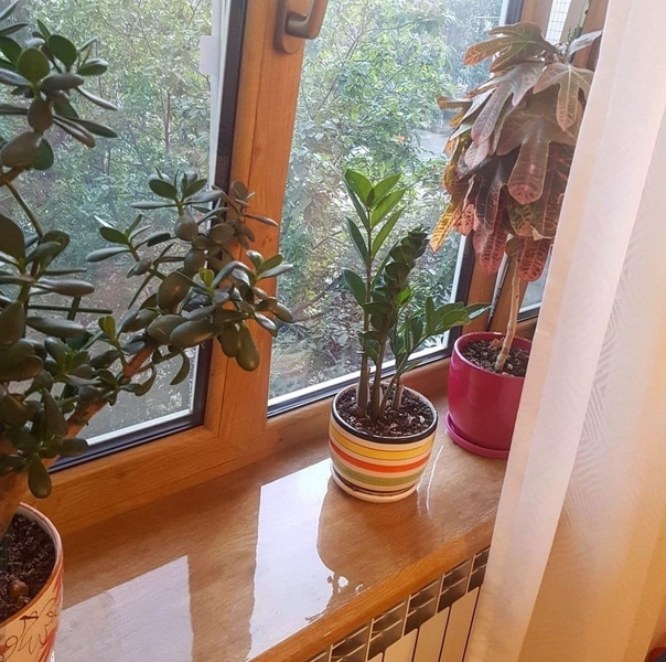 Красивые пластиковые окна. - <ro>Изображение</ro><ru>Изображение</ru> #6, <ru>Объявление</ru> #1706466