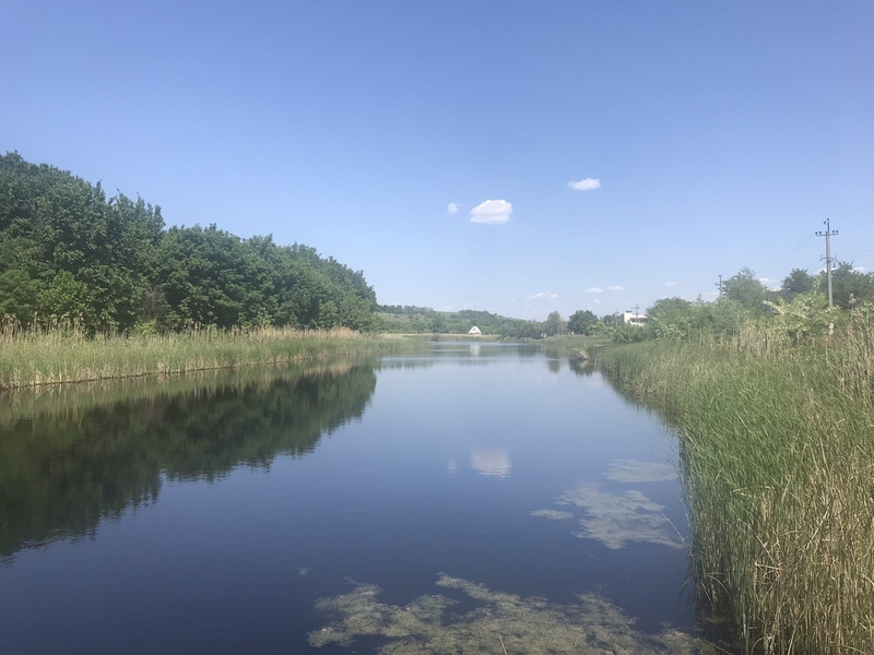 Продам дачу, Подгородное - <ro>Изображение</ro><ru>Изображение</ru> #9, <ru>Объявление</ru> #1709275