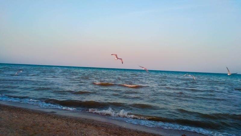 Выездной тренинг на море "Перезагрузка". Все включено! - <ro>Изображение</ro><ru>Изображение</ru> #4, <ru>Объявление</ru> #1711132