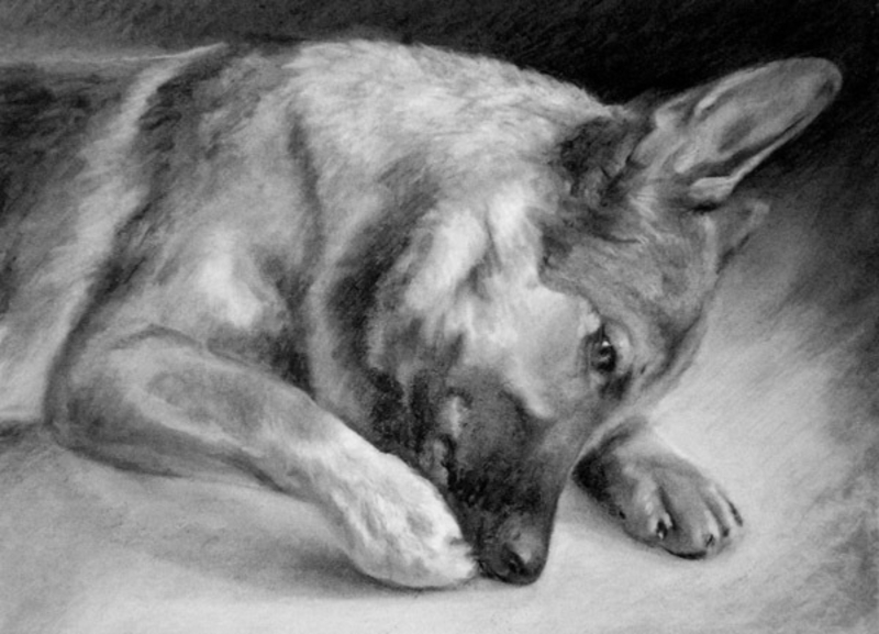 Портрет на заказ по фотографии - <ro>Изображение</ro><ru>Изображение</ru> #5, <ru>Объявление</ru> #1709741