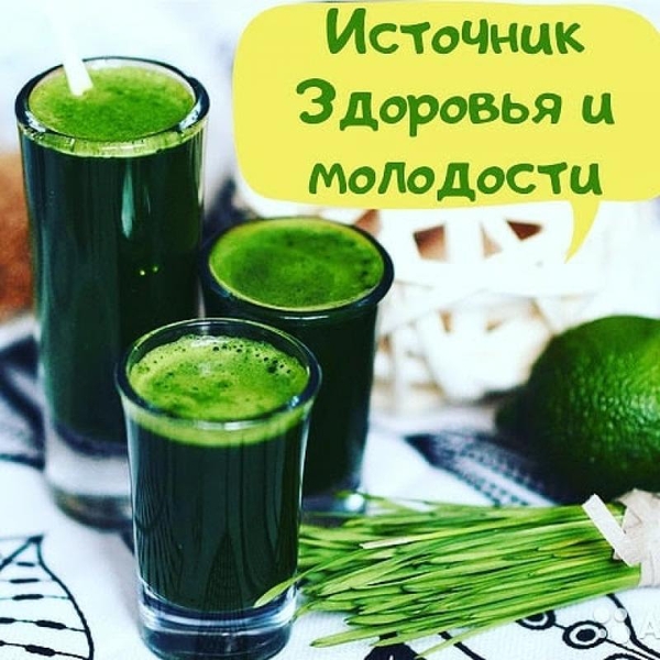 Продам Витграсс - сок из ростков пшеницы для вашего здоровья - <ro>Изображение</ro><ru>Изображение</ru> #7, <ru>Объявление</ru> #1715269