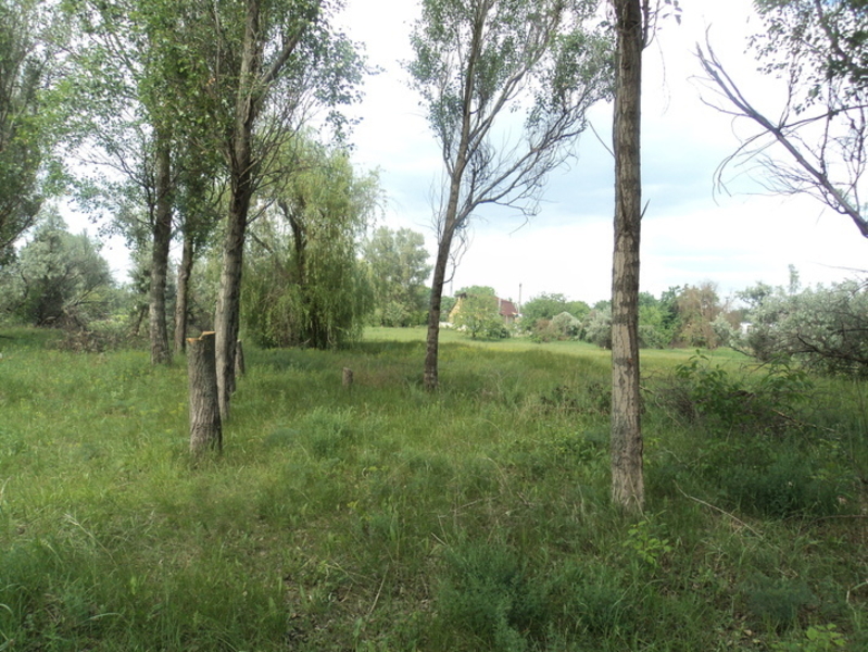 Земельный участок АНД район ул. Гуртовая  - <ro>Изображение</ro><ru>Изображение</ru> #3, <ru>Объявление</ru> #1715399