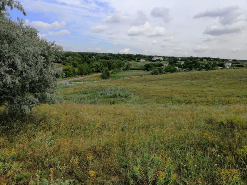 Земельный участок 4 ГА. Любимовка. Продам. Обменяю. - <ro>Изображение</ro><ru>Изображение</ru> #3, <ru>Объявление</ru> #1555586