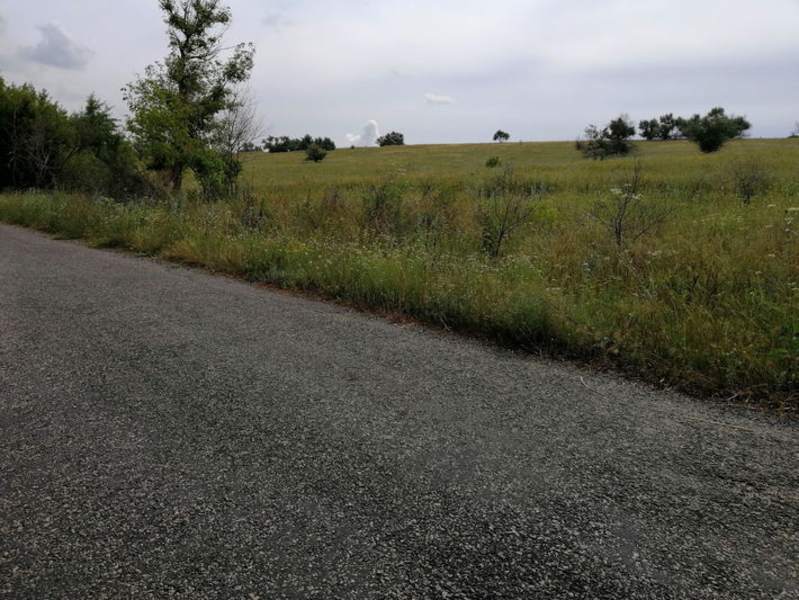 Земельный участок 4 ГА. Любимовка. Продам. Обменяю. - <ro>Изображение</ro><ru>Изображение</ru> #4, <ru>Объявление</ru> #1555586