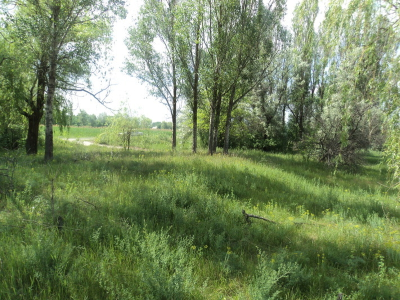 Земельный участок АНД район ул. Гуртовая  - <ro>Изображение</ro><ru>Изображение</ru> #5, <ru>Объявление</ru> #1715399