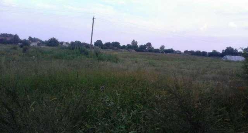 Срочно продам земельный участок в с. Вороньков - <ro>Изображение</ro><ru>Изображение</ru> #5, <ru>Объявление</ru> #1716219