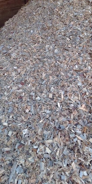 Щепа. Закупка щепы. Куплю треску. - <ro>Изображение</ro><ru>Изображение</ru> #3, <ru>Объявление</ru> #1717927