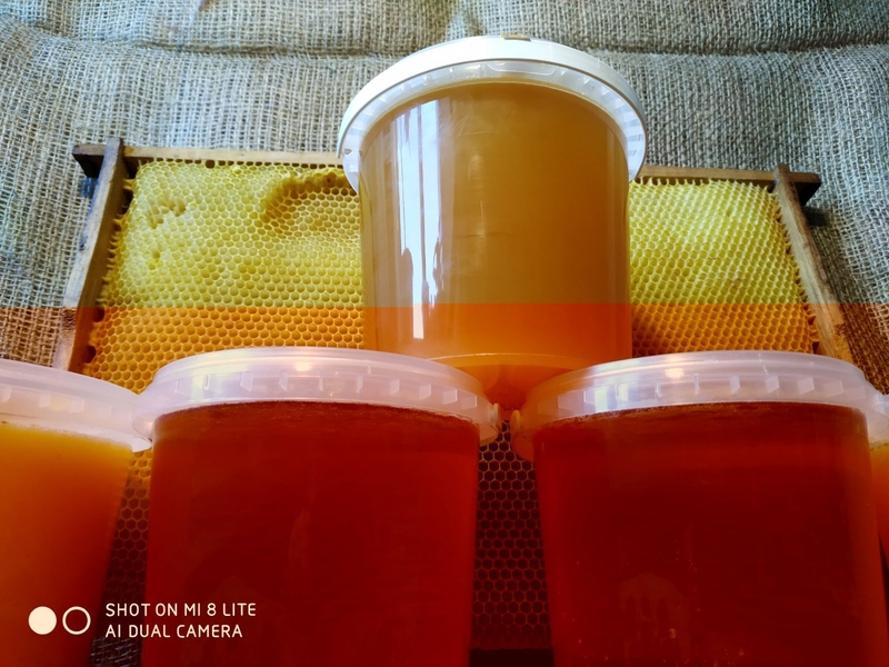 Пчелиная Халва ..... - <ro>Изображение</ro><ru>Изображение</ru> #4, <ru>Объявление</ru> #1386033