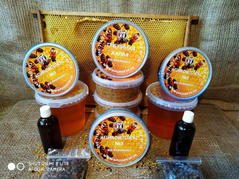 Апикомплекс  2 - <ro>Изображение</ro><ru>Изображение</ru> #3, <ru>Объявление</ru> #1721418