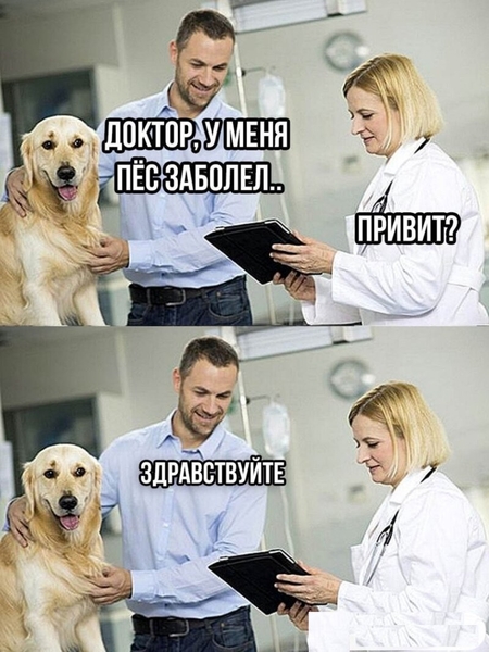 Ветеринар Дніпро – Лікування, Кастрація, Стерилізація з виїздом - <ro>Изображение</ro><ru>Изображение</ru> #4, <ru>Объявление</ru> #1558546