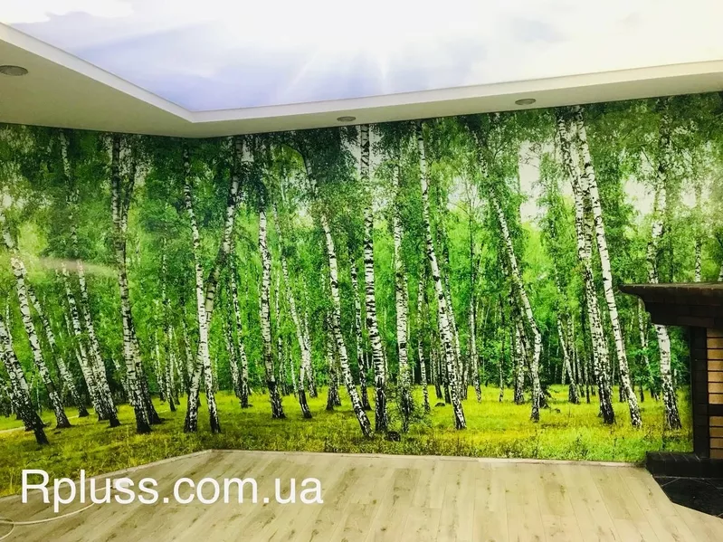  R+ - Виробник  «НАТЯЖНИХ СТЕЛЬ» Дніпро і область, - <ro>Изображение</ro><ru>Изображение</ru> #8, <ru>Объявление</ru> #1739841