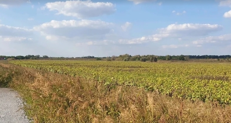 Продам земельный участок под строительство АЗС или придорожного комплекса - <ro>Изображение</ro><ru>Изображение</ru> #6, <ru>Объявление</ru> #1739933