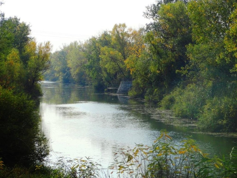 Под застройку 20 cоток на берегу р.Орель(свой берег). - <ro>Изображение</ro><ru>Изображение</ru> #4, <ru>Объявление</ru> #1742525