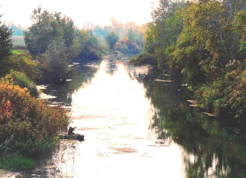 Под застройку 40 соток на берегу р.Орель(свой берег). - <ro>Изображение</ro><ru>Изображение</ru> #4, <ru>Объявление</ru> #1742526