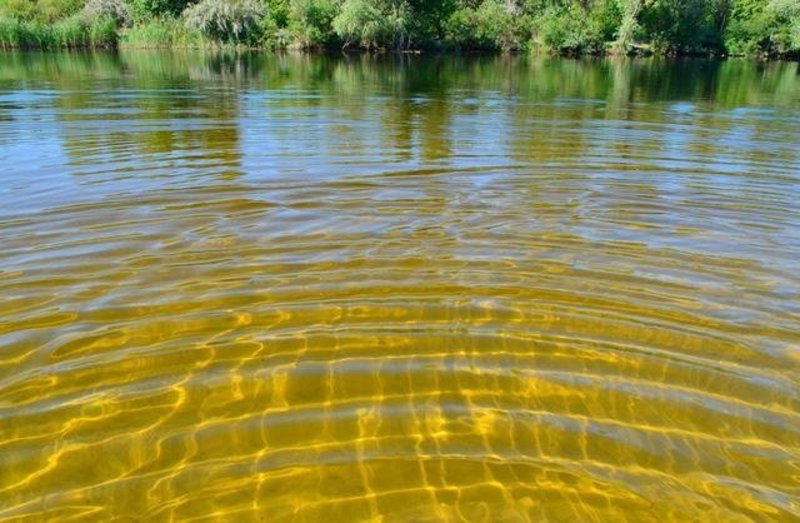 Под застройку 1ГА(100 соток) на берегу реки Орель. - <ro>Изображение</ro><ru>Изображение</ru> #4, <ru>Объявление</ru> #1742551