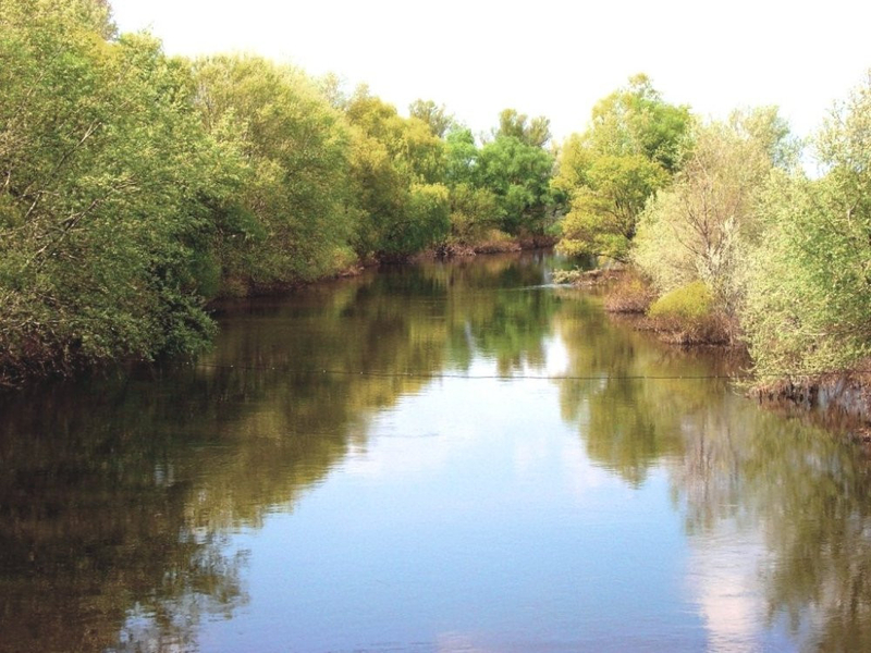 Под застройку 1ГА(100 соток) на берегу реки Орель. - <ro>Изображение</ro><ru>Изображение</ru> #8, <ru>Объявление</ru> #1742551