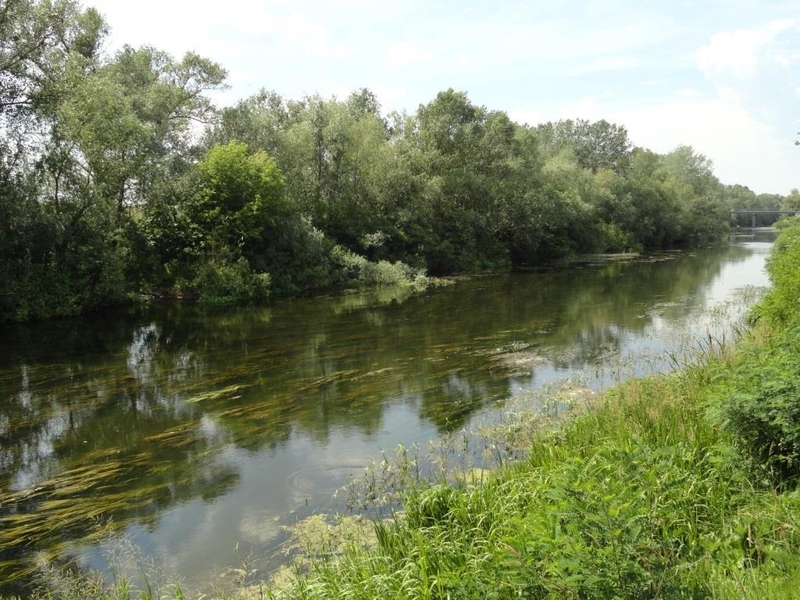 Под застройку 1ГА(100 соток) на берегу реки Орель. - <ro>Изображение</ro><ru>Изображение</ru> #9, <ru>Объявление</ru> #1742551