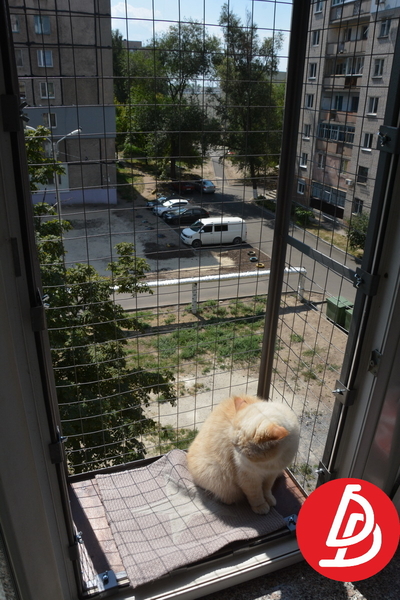 Вольєр для кішок на вікно. "Броневик" Дніпро. - <ro>Изображение</ro><ru>Изображение</ru> #3, <ru>Объявление</ru> #1744690